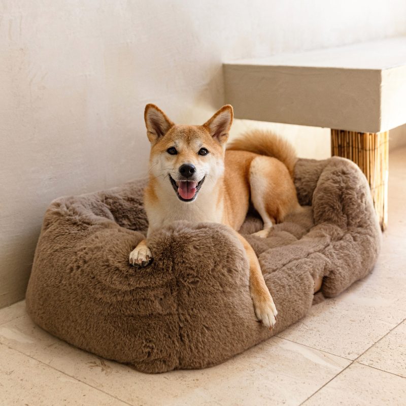 Lola Blanket Pet Bed 1