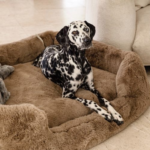 Lola Blanket Pet Bed 2