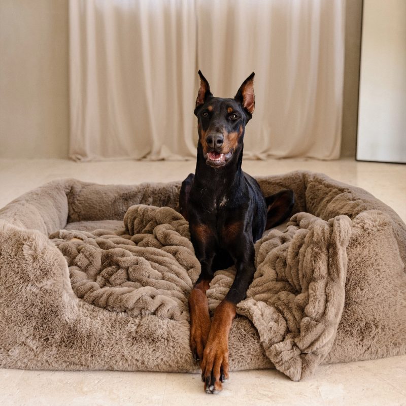 Lola Blanket Pet Bed 4